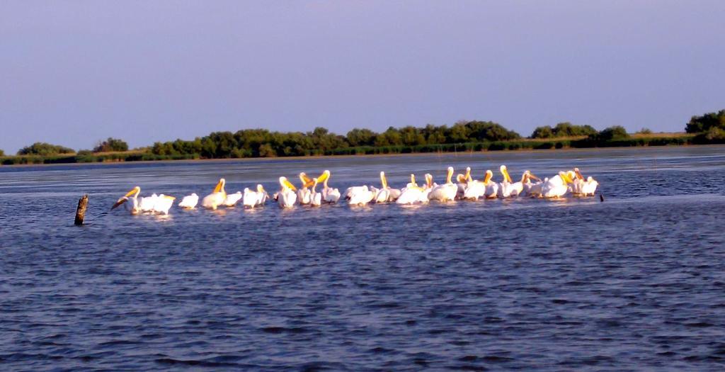 Готель Delta Pontoon Магмудія Екстер'єр фото